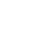 FLOWER(花)